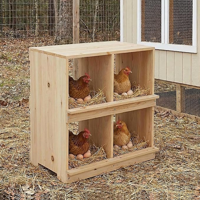 Wooden Chicken Nesting Box, Double-Deck with 4 Compartments, Wall-Mounted or Ground-Placed Nesting Box for Hens with Egg-Roll-Proof Design, Egg Collection Design, Perch, Natural Wood, Sun-Proof