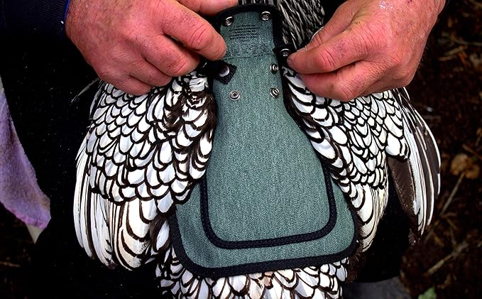 DOWN UNDER OUTDOORS Medium-Large Chicken Saddle with Adjustable Straps, Chicken Apron, Poultry Saver, Pet Supplies, Including Shoulder Cover (Green)
