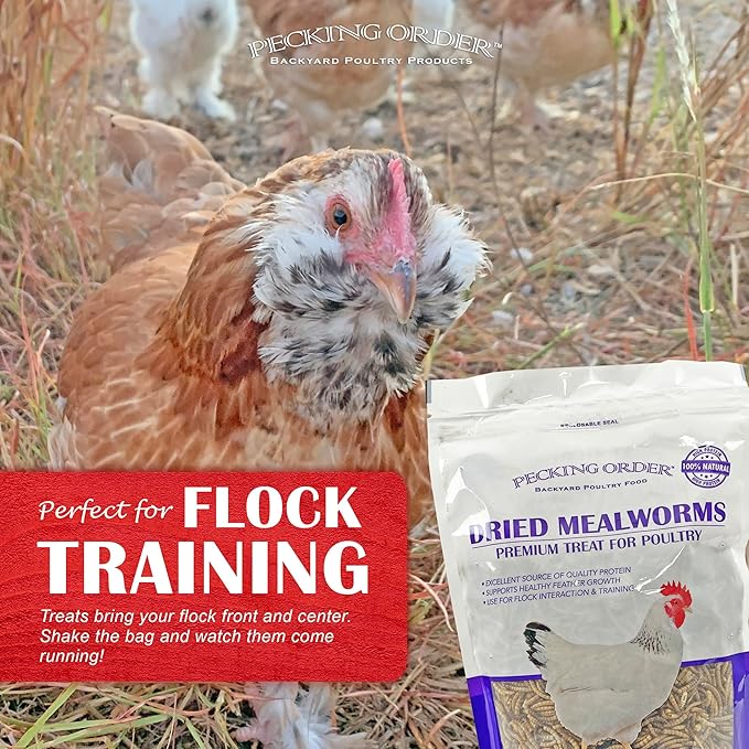 Pecking Order Dried Mealworms - 10 oz