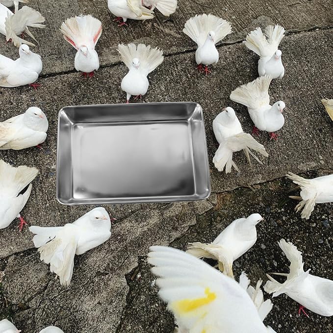 Bath Tub for Bird Pigeon Bathing Tub Metal Shower Basin Birds Cleaning Basin Pigeon Shower
