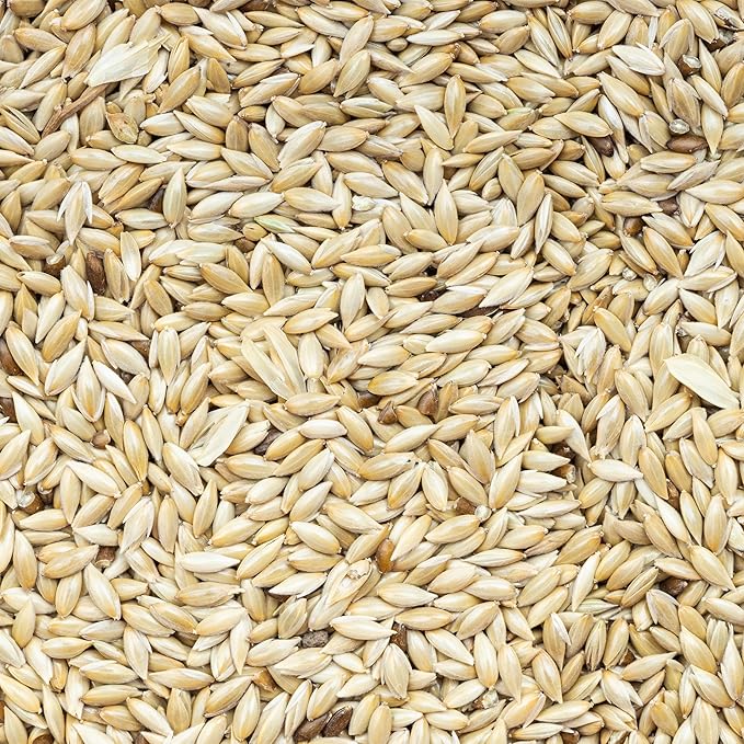 Unida Alpiste Canary Seed for Birds – 10 lbs Bulk Bird Food, 100% Pure & Natural, Non-GMO Bird Seed, No Additives
