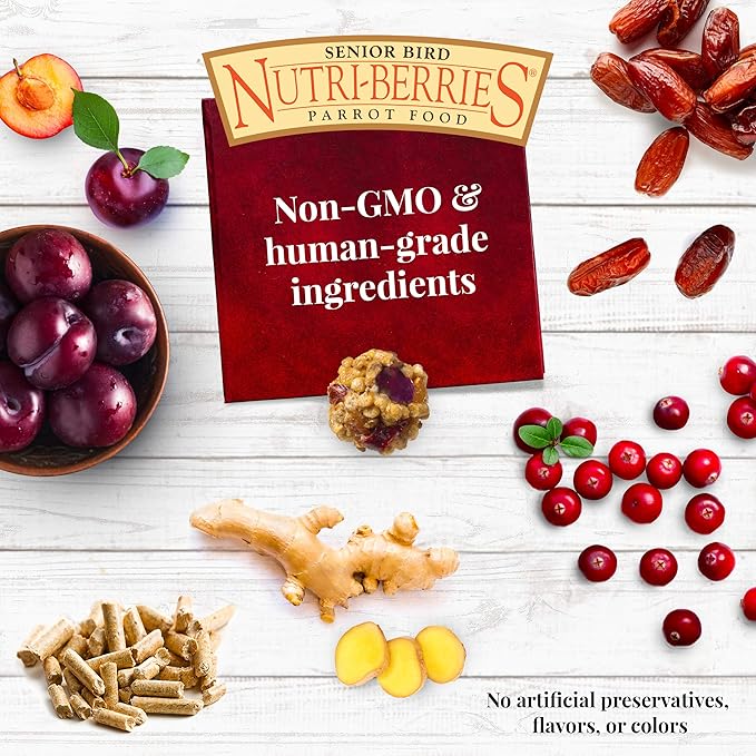 LAFEBER'S Senior Bird Nutri-Berries Pet Bird Food, Made with Non-GMO and Human-Grade Ingredients, for Parakeets & Cockatiels, 3 lb