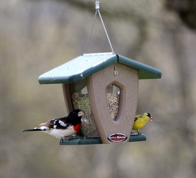 Kettle Moraine Recycled Mini Moraine Hopper Feeder (Green/Chocolate)
