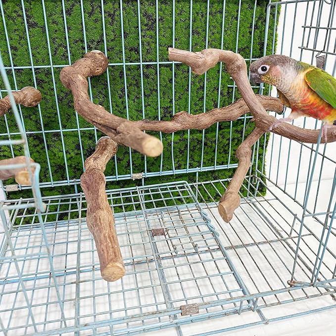 5 PCS Natural Grape Stick Perch Swing Chewing Toys for Parrot Cages, Cockatiels, Parakeets, Finches - Bird Standing Stick