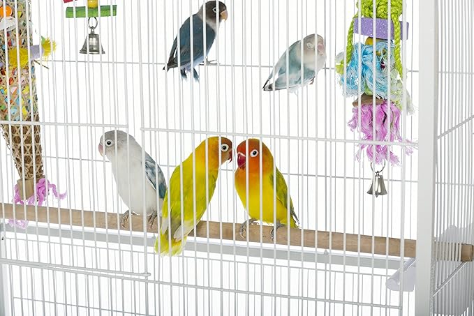 Prevue Pet Products Wrought Iron Bird Flight Cage with Wheels - Large Birdcage for Parakeets, Canaries, Finches, Cockatiels, Lovebirds, Green Cheeks, Metal Standing Birdcage - Chalk White