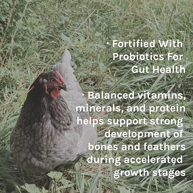 New Country Organics | Organic Grower/Broiler Feed for Growing Chickens | Soy-Free | 19% Protein | Certified Organic and Non-GMO | 40 lbs