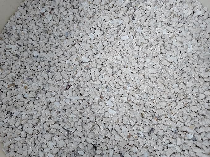 Evergreen Farm and Garden 50 lb Bag Oyster Shell - Calcium Rich Bird Grit (50 Pound (Pack of 1))