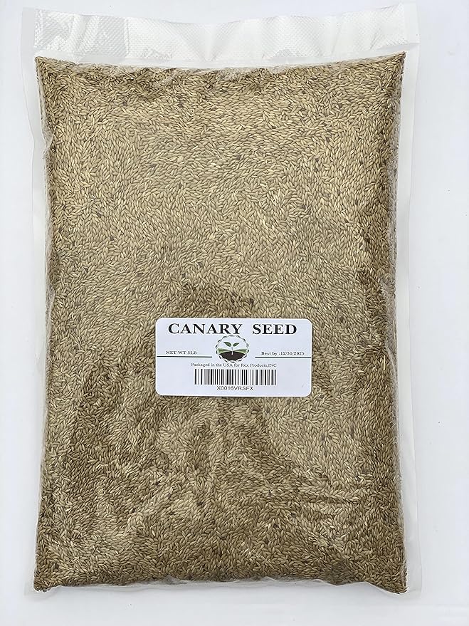 Canary Seed 5 LB - Plain 100% Seed