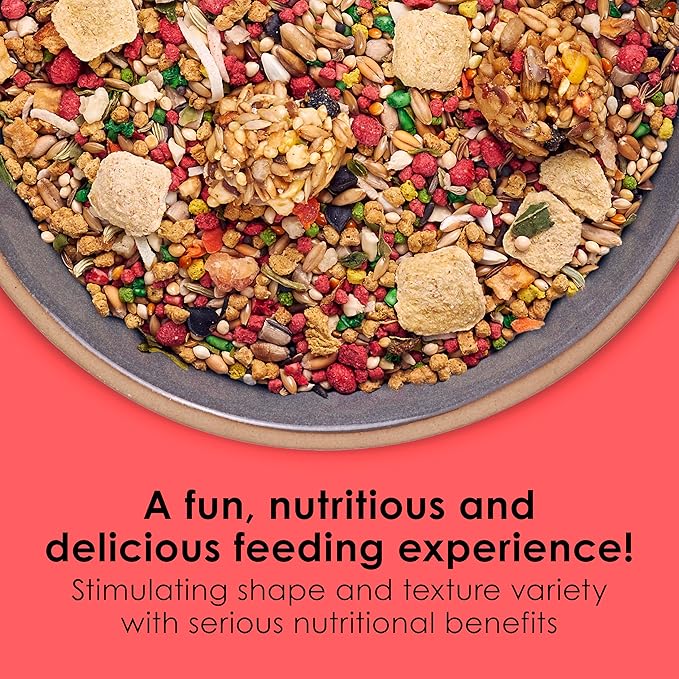 Kaytee Fiesta Parakeet Food,Nutritious and Fun Blend,Supports Skin,Feather,Digestion,Brain and Heart Health,2 pounds,(Pack of 2)