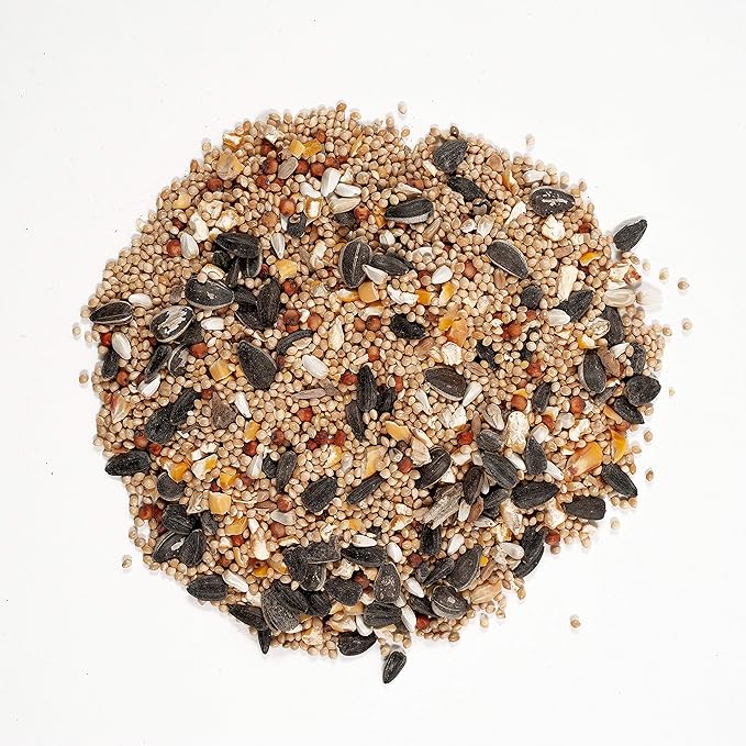 Wagner's 62015 Southwest Regional Blend Wild Bird Food, 8-Pound Bag
