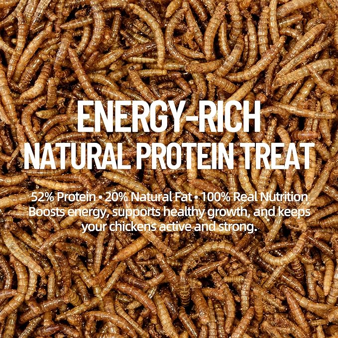 10LB Premium Non-GMO Dried Mealworms - High-Protein Natural Feed & Chicken Treats for Chickens, Ducks, Wild Birds, Quails & Reptiles - Support Egg Production & Feather Growth