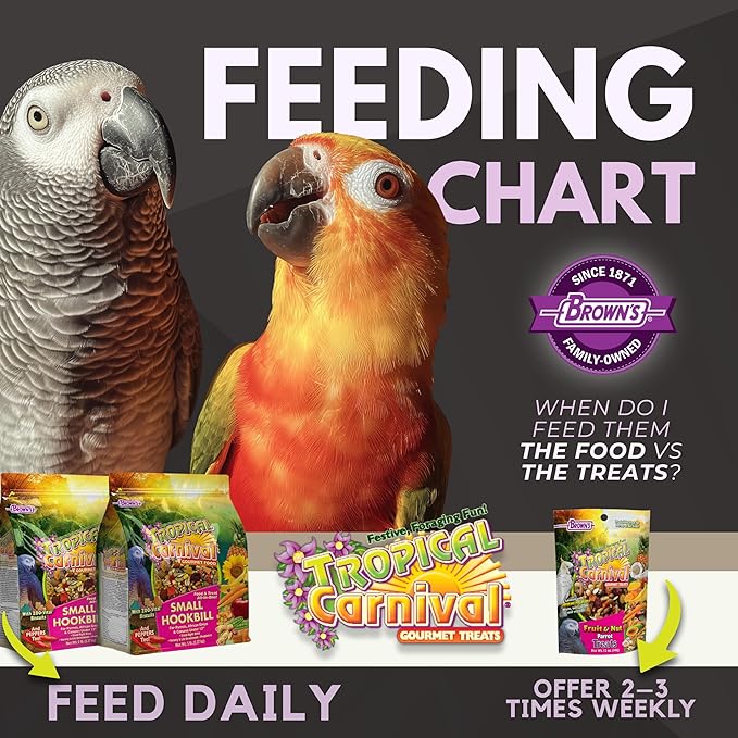 Tropical Carnival Brown’s Gourmet Small Hookbill Food & Fruit & Nut Parrot Treat Bundle – Vitamin-Fortified Daily Diet & Reward Mix for Parrots, Conures & Small Hookbills – 10 lb + 12 oz