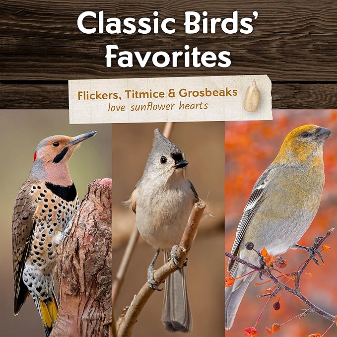 Morning Song Sunflower Hearts & Chips Wild Bird Seed – 10 lb. Premium No Mess, Shell-Free Bird Food for Outside Feeders