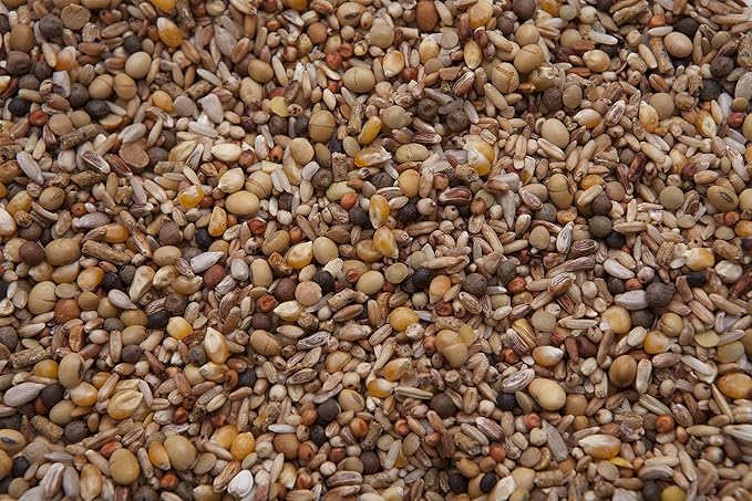Squab Builder Pigeon Mix (18%) 20 lbs