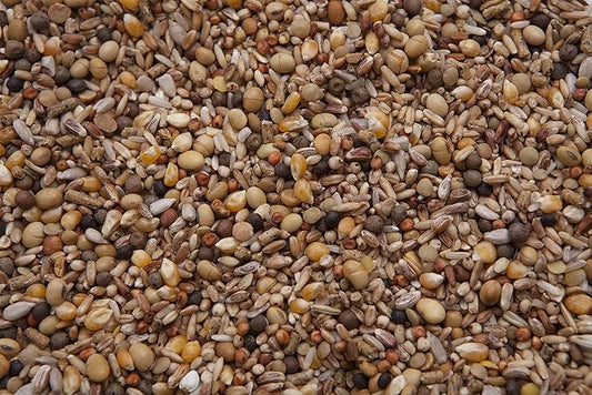 Squab Builder Pigeon Mix (18%) 20 lbs