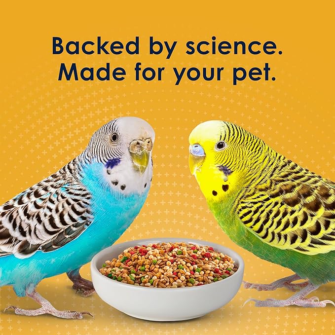 Kaytee Forti-Diet Pro Health Egg-Cite Nourish+Protect Parakeet, Supports Breeding and Molting, Nutrition Backed by Science, Digestive Health, 5 pounds