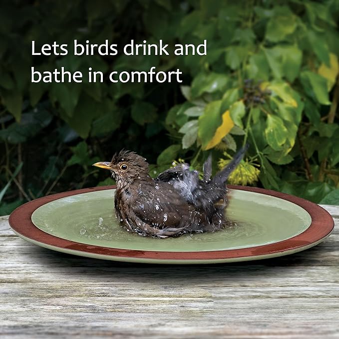 Jacobi Jayne Bird Bath for Garden Birds Anyplace™ Bird Bath - Ceramic Garden Bird Bath and Wildlife Drinker - Perfect Birdbath for Garden. Bird Water Feeder and Bird Bath Bowl. Birdbaths & Supports