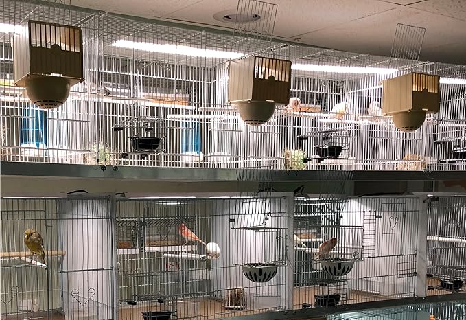 HappyBird Lightning (A Divison of M&M Cage) 18" LED linkable Light bar Without Power Source for Multiple Bird Breeder Cages, Full Spectrum LED. Will NOT Run ON ITS OWN (Single)