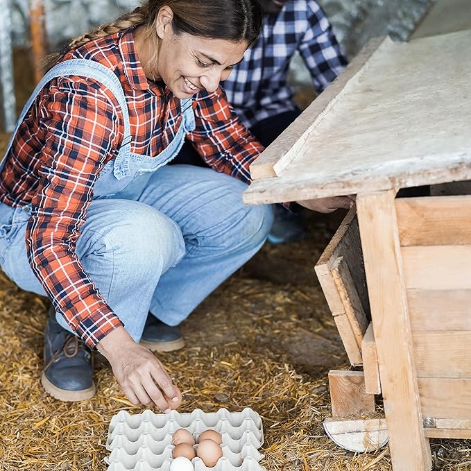 Rural365 Chicken Nest Box Liners 12 Pack - Chicken Coop Bedding, Poultry Supplies Chicken Bedding Nest Liners Chickens