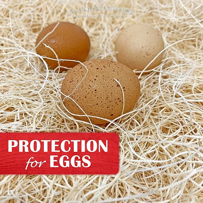 Nest Box Pads for Chicken Nesting Boxes - 13 x 13 Pads Made in USA from Sustainably Sourced Aspen Excelsior,5 Count (Pack of 6)