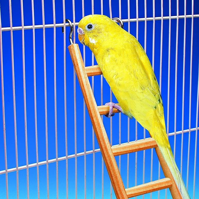 Penn-Plax 7-Step Wooden Bird Ladder | Provide Exercise and entertainmet for Your Bird | Looks Great | Durable and Safe