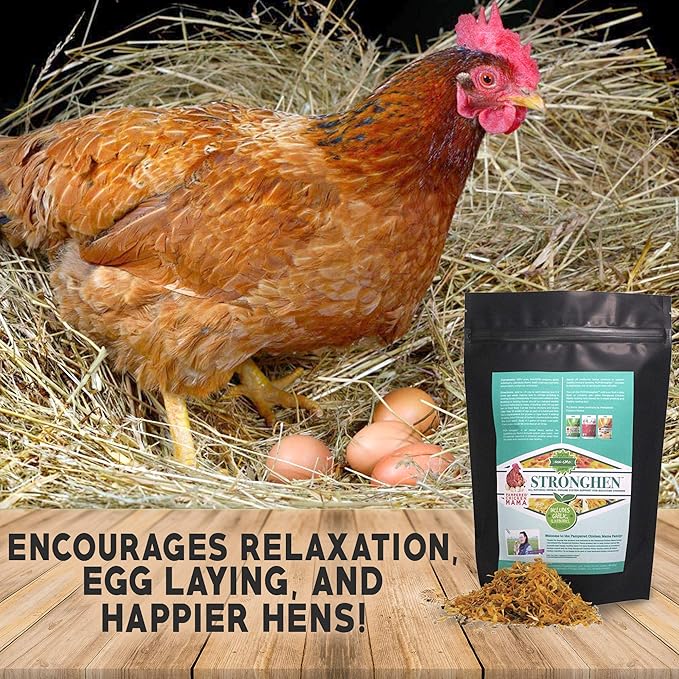 Backyard Chicken Nesting Herbs All Natural Feeding Supplement to Support Healthy Immune Systems (StrongHen) (10 Ounces)