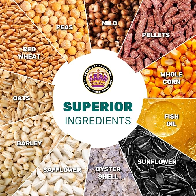 LEACH GRAIN & MILLING CO. Chavez Mix 25 Lbs Bag, Healthy Chicken Feed for Laying Hens – Supports Energy & Digestive Health – Nutrition-Rich Duck & Chicken Food with Protein, Fiber & Essential Minerals