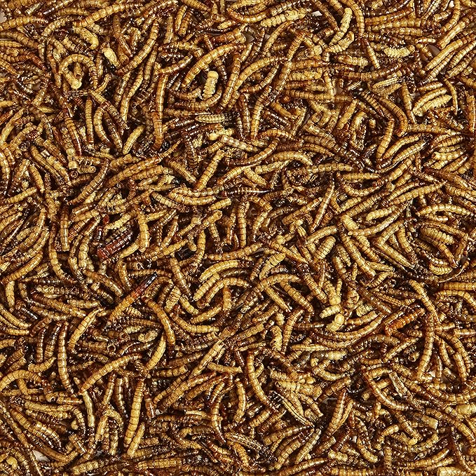 Kaytee Wild Bird Food Mealworms For Bluebirds, Wrens, Robins, Chickadees, Woodpeckers, Cardinals & Chickens, 2 Pound