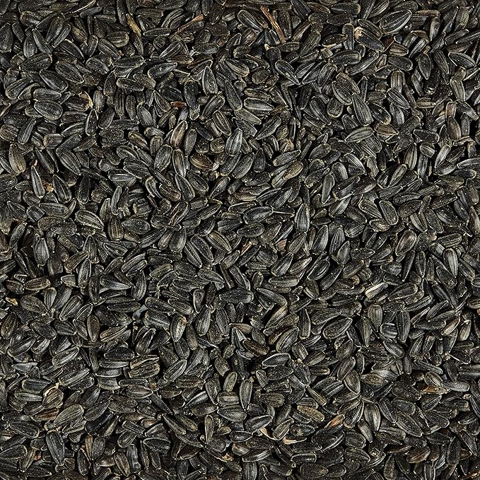 Kaytee Wild Bird Black Oil Sunflower Food, 20 Pounds