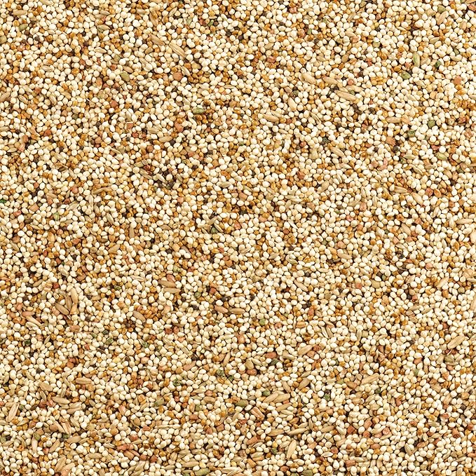 Wild Harvest Daily Blend Nutrition Diet for Parakeet, Canary and Finch, Orange Flavored, 10 Pounds (Pack of 2)