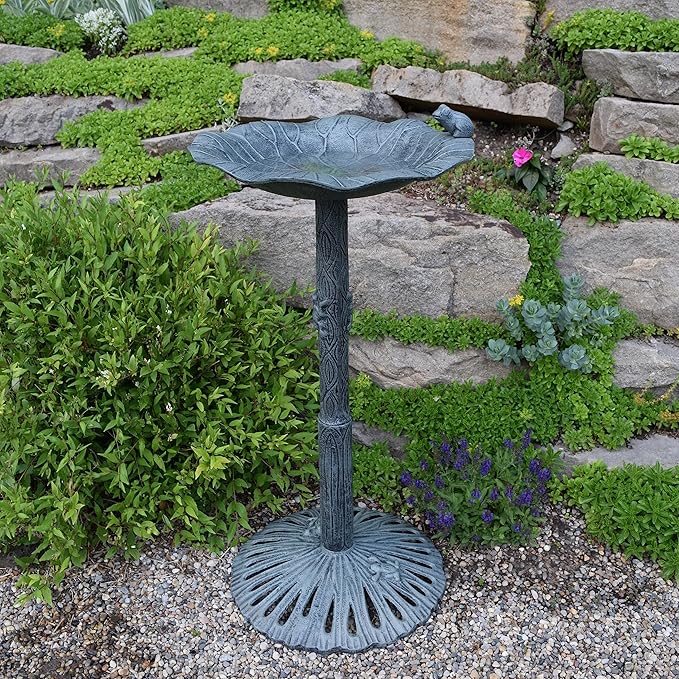 Oakland Living Frog Bird Bath, Verdi Grey